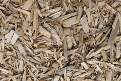 biomass boilers Hortonwood